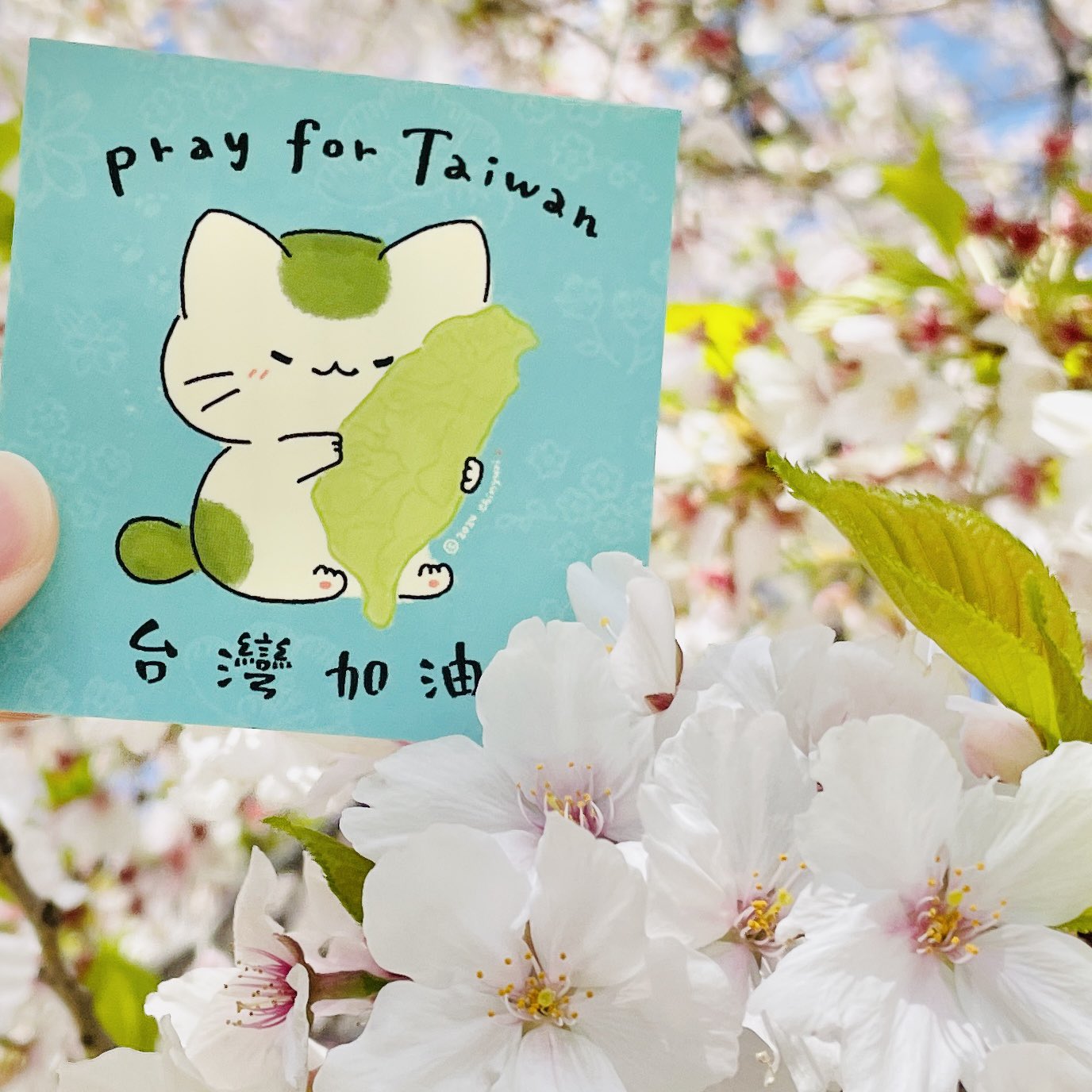 pray for Taiwanステッカー,ちにゅり,¥380